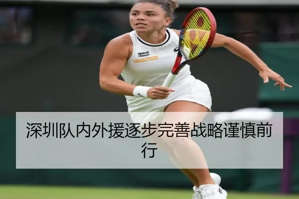 深圳队内外援逐步完善战略谨慎前行 | feifansports
